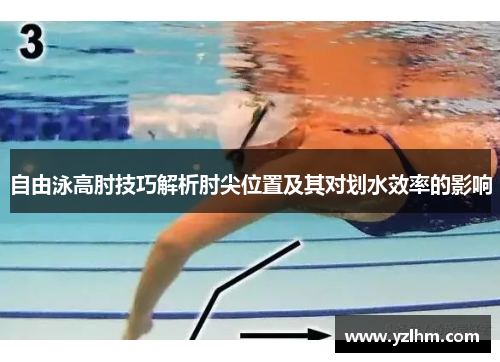 自由泳高肘技巧解析肘尖位置及其对划水效率的影响