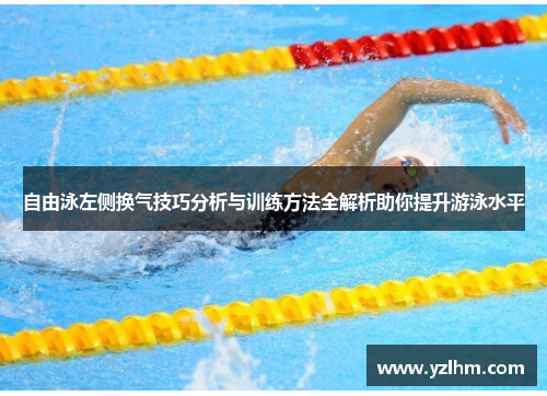自由泳左侧换气技巧分析与训练方法全解析助你提升游泳水平